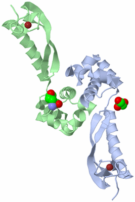 Image Asym./Biol. Unit