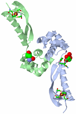 Image Asym./Biol. Unit - sites