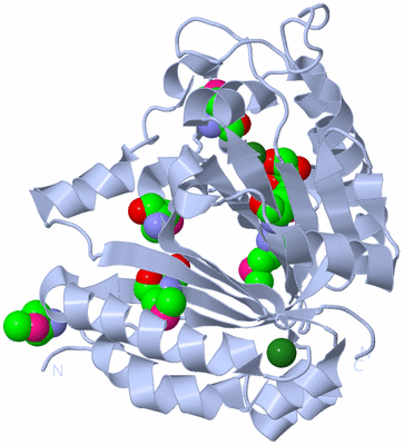 Image Biological Unit 1