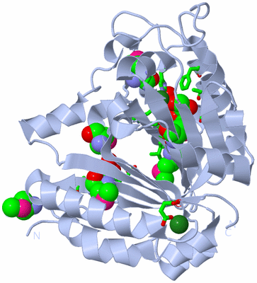 Image Biol. Unit 1 - sites