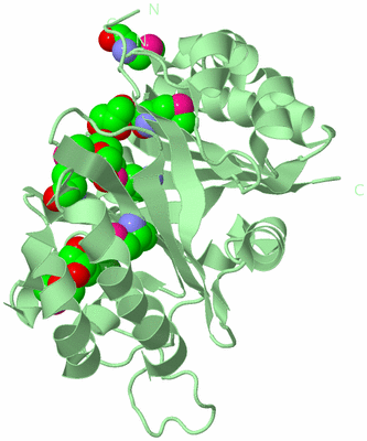 Image Biological Unit 2