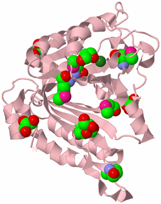 Image Biological Unit 3