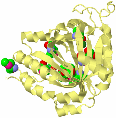 Image Biological Unit 4