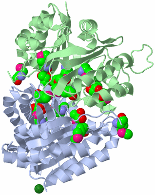 Image Biological Unit 5