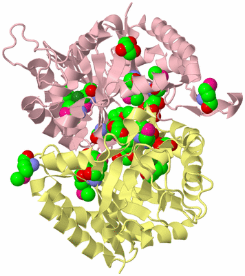 Image Biological Unit 6