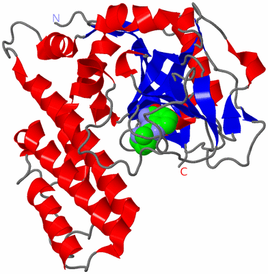 Image Asym./Biol. Unit