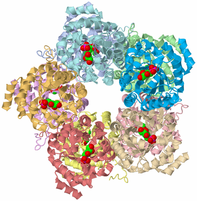 Image Biological Unit 1