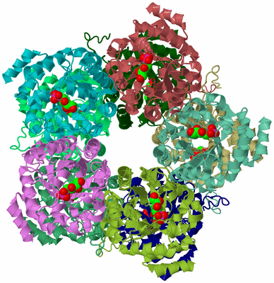 Image Biological Unit 2