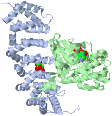 Image Asym./Biol. Unit