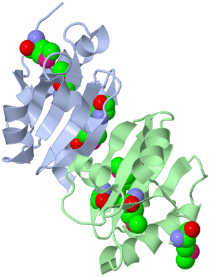 Image Biological Unit 3