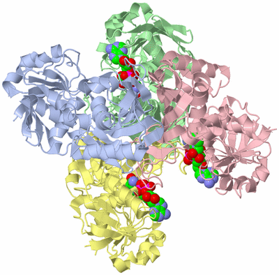 Image Biological Unit 1