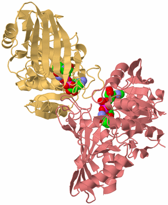 Image Biological Unit 10