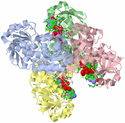 Image Biol. Unit 1 - sites