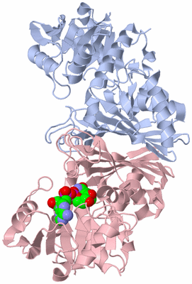 Image Biological Unit 3