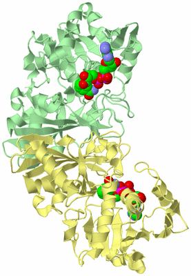 Image Biological Unit 4