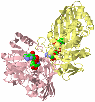 Image Biological Unit 5