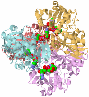 Image Biological Unit 6