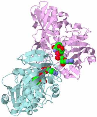 Image Biological Unit 7