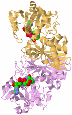 Image Biological Unit 8