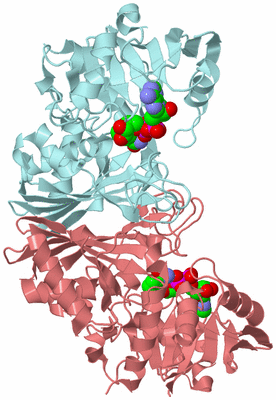 Image Biological Unit 9