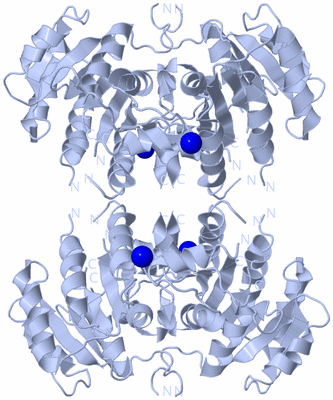 Image Biological Unit 1