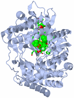 Image Biol. Unit 1 - sites