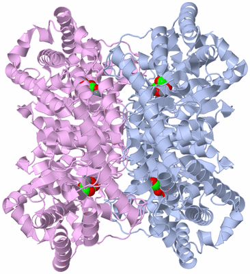 Image Biological Unit 1