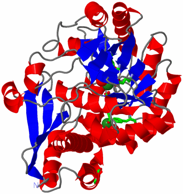 Image Asym. Unit - sites