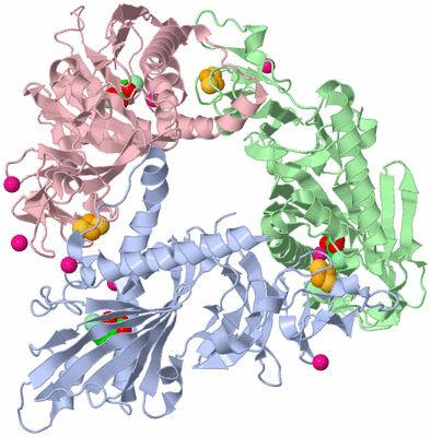 Image Asym./Biol. Unit