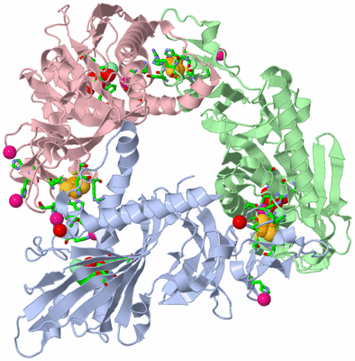 Image Asym./Biol. Unit - sites