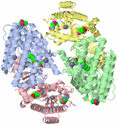 Image Asymmetric Unit