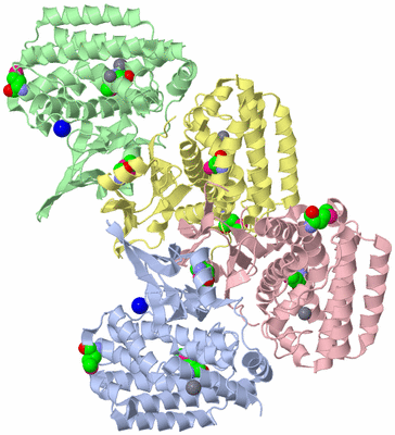 Image Biological Unit 1
