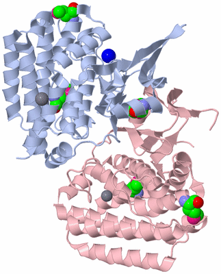 Image Biological Unit 2