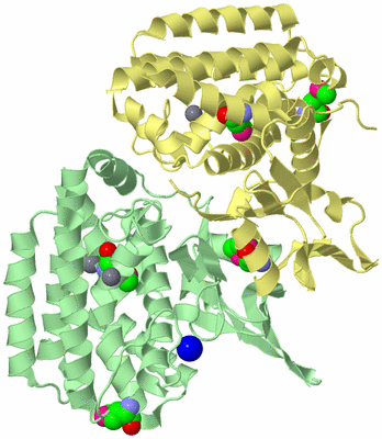 Image Biological Unit 3