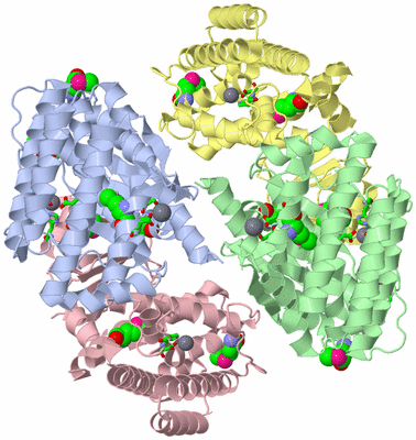 Image Asym. Unit - sites