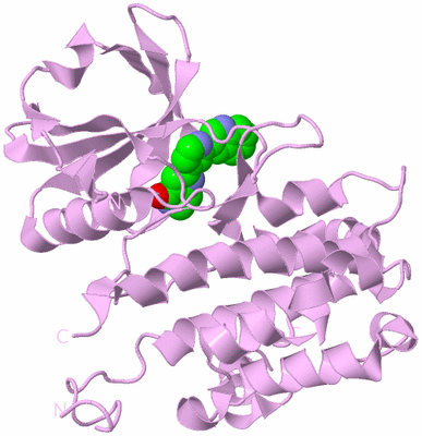 Image Biological Unit 10