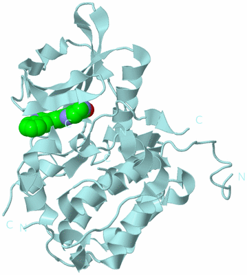 Image Biological Unit 11