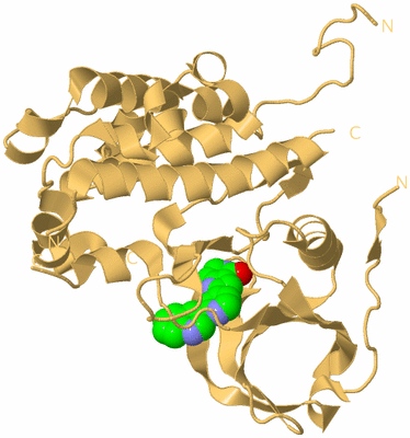 Image Biological Unit 12