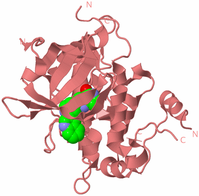 Image Biological Unit 13