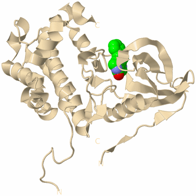 Image Biological Unit 14