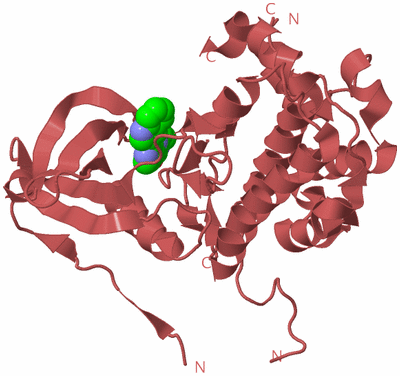 Image Biological Unit 16