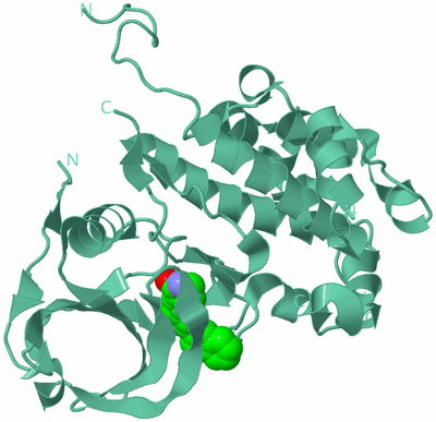 Image Biological Unit 17