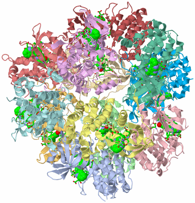 Image Biol. Unit 1 - sites