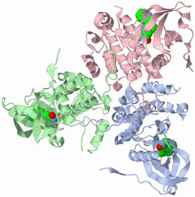 Image Biological Unit 2