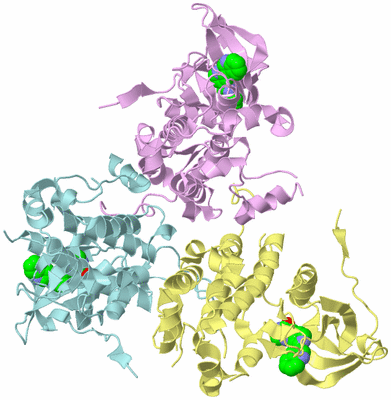 Image Biological Unit 3