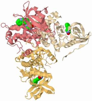 Image Biological Unit 4