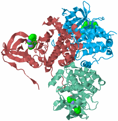 Image Biological Unit 5