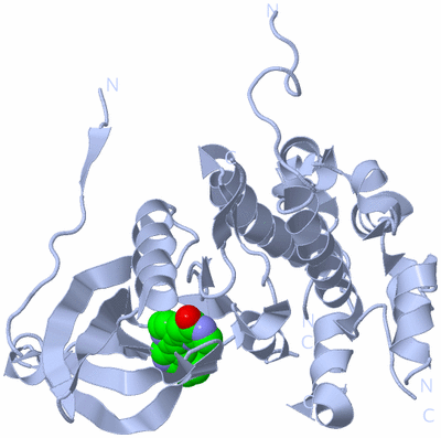 Image Biological Unit 6