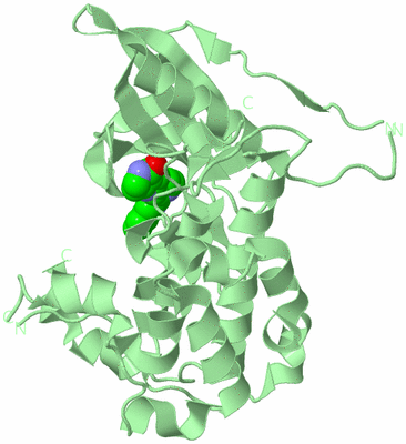 Image Biological Unit 7