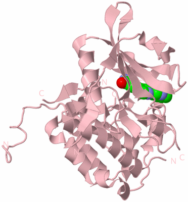 Image Biological Unit 8